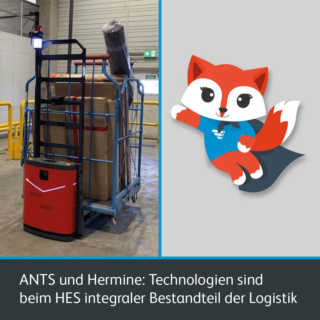 ANTS und Hermine: Technologien sind beim HES integraler Bestandteil der Logistik